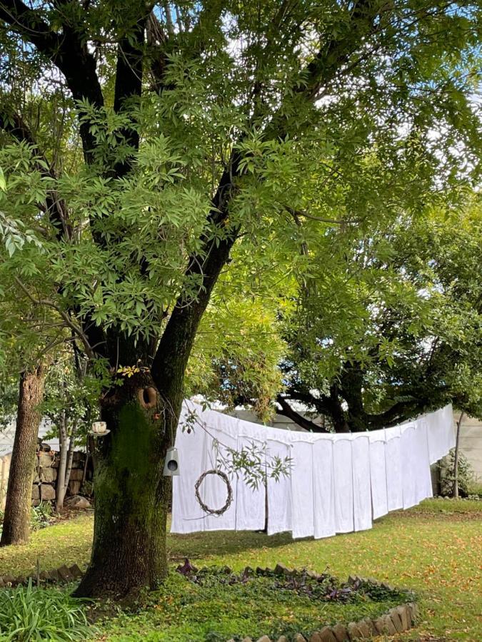 At The River Guest House Kroonstad Exterior foto